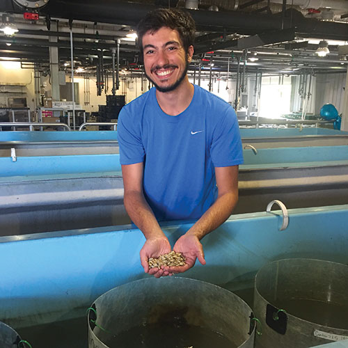 Photo: Oyster Nursery.