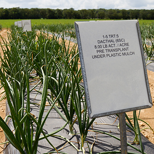 Weed science demonstration field.